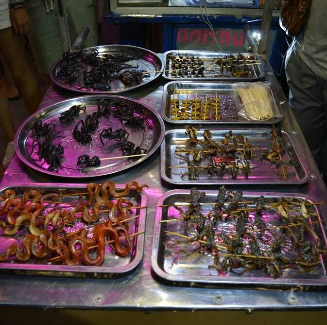 The Most Bizarre Foods in Cambodia